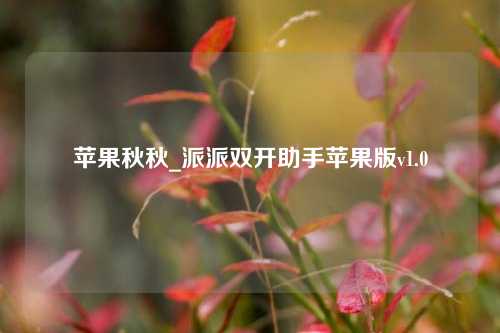 苹果秋秋_派派双开助手苹果版v1.0