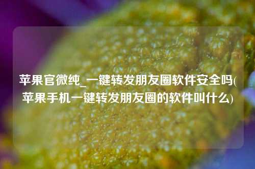 苹果官微纯_一键转发朋友圈软件安全吗(苹果手机一键转发朋友圈的软件叫什么)