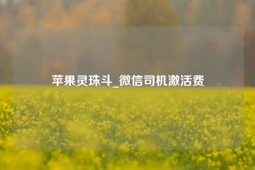 苹果灵珠斗_微信司机激活费