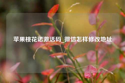 苹果桃花诺激活码_微信怎样修改地址