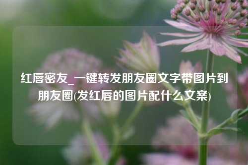 红唇密友_一键转发朋友圈文字带图片到朋友圈(发红唇的图片配什么文案)