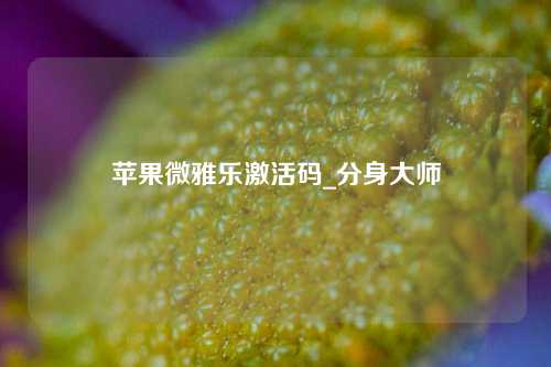 苹果微雅乐激活码_分身大师