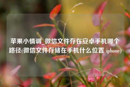 苹果小情调_微信文件存在安卓手机哪个路径(微信文件存储在手机什么位置 iphone)