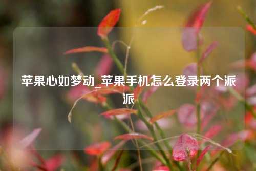 苹果心如梦动_苹果手机怎么登录两个派派