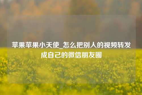 苹果苹果小天使_怎么把别人的视频转发成自己的微信朋友圈