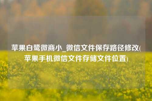 苹果白鹭微商小_微信文件保存路径修改(苹果手机微信文件存储文件位置)