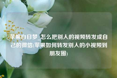 苹果白日梦_怎么把别人的视频转发成自己的微信(苹果如何转发别人的小视频到朋友圈)