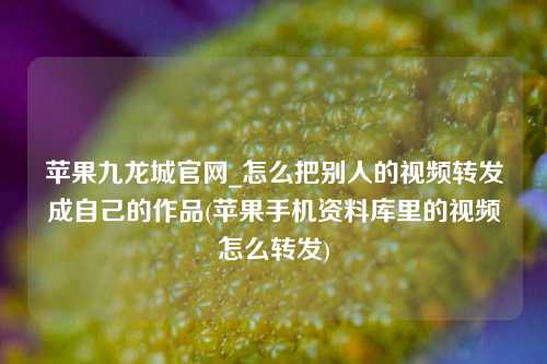 苹果九龙城官网_怎么把别人的视频转发成自己的作品(苹果手机资料库里的视频怎么转发)