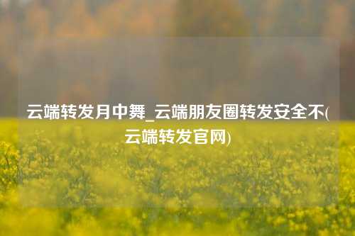 云端转发月中舞_云端朋友圈转发安全不(云端转发官网)