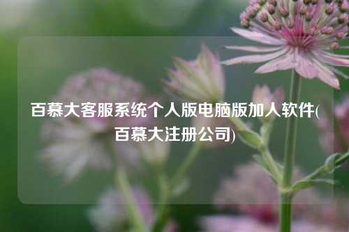 百慕大客服系统个人版电脑版加人软件(百慕大注册公司)