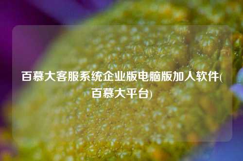 百慕大客服系统企业版电脑版加人软件(百慕大平台)