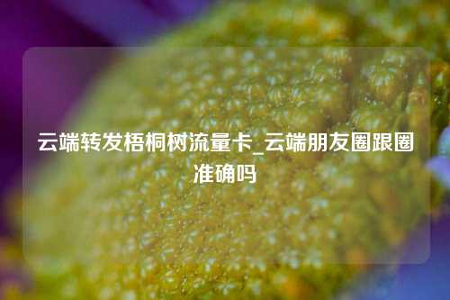 云端转发梧桐树流量卡_云端朋友圈跟圈准确吗