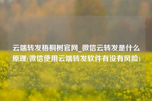 云端转发梧桐树官网_微信云转发是什么原理(微信使用云端转发软件有没有风险)