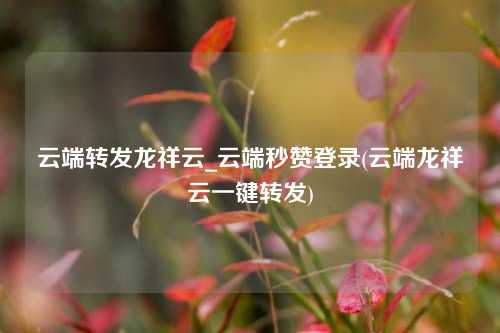 云端转发龙祥云_云端秒赞登录(云端龙祥云一键转发)