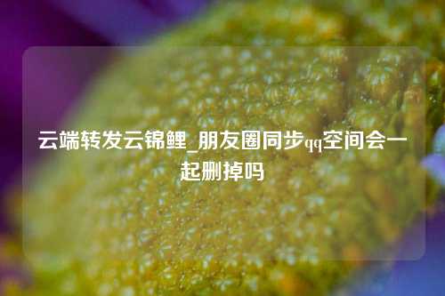 云端转发云锦鲤_朋友圈同步qq空间会一起删掉吗