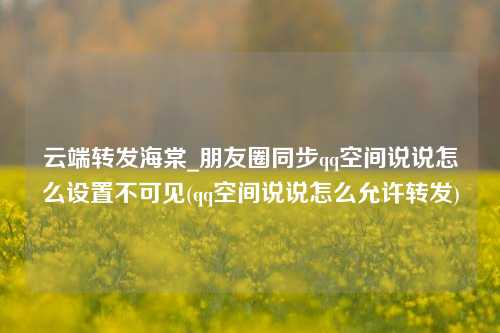 云端转发海棠_朋友圈同步qq空间说说怎么设置不可见(qq空间说说怎么允许转发)