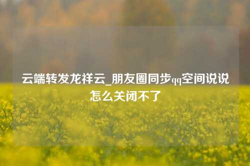 云端转发龙祥云_朋友圈同步qq空间说说怎么关闭不了