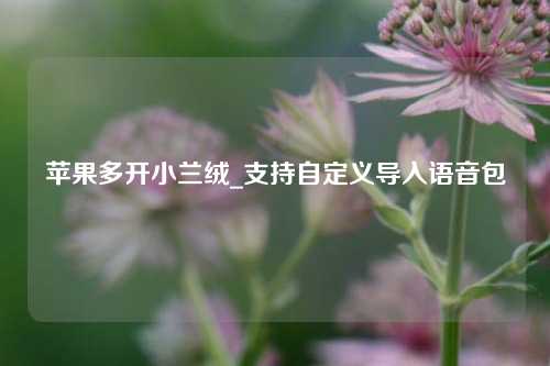 苹果多开小兰绒_支持自定义导入语音包