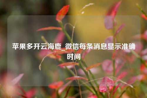 苹果多开云海鹿_微信每条消息显示准确时间