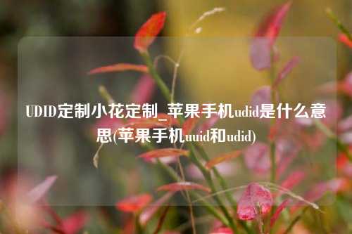 UDID定制小花定制_苹果手机udid是什么意思(苹果手机uuid和udid)