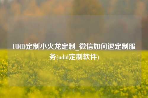 UDID定制小火龙定制_微信如何退定制服务(udid定制软件)