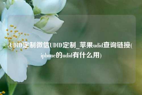 UDID定制微信UDID定制_苹果udid查询链接(iphone的udid有什么用)