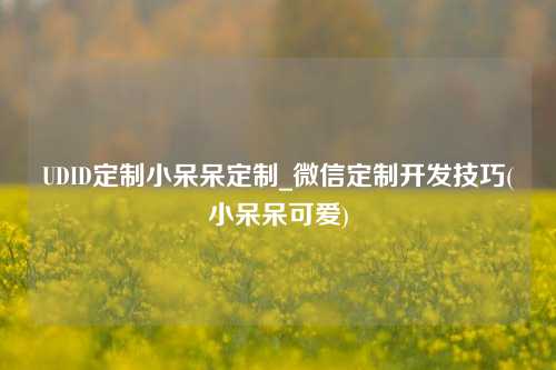 UDID定制小呆呆定制_微信定制开发技巧(小呆呆可爱)