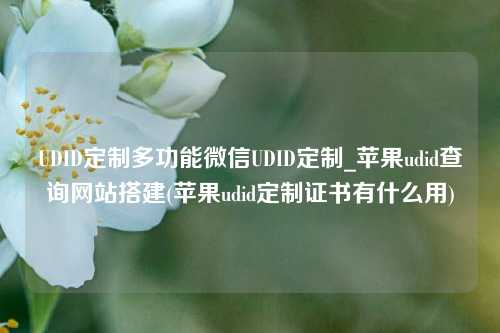 UDID定制多功能微信UDID定制_苹果udid查询网站搭建(苹果udid定制证书有什么用)