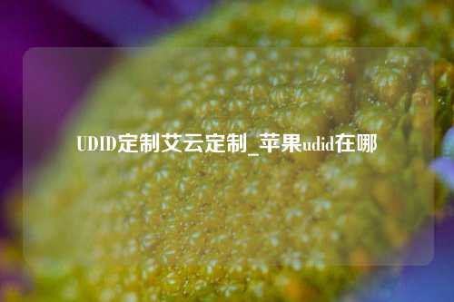 UDID定制艾云定制_苹果udid在哪