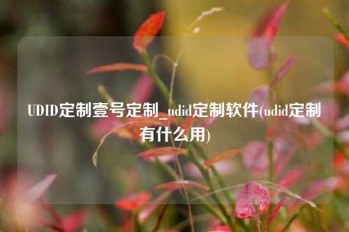 UDID定制壹号定制_udid定制软件(udid定制有什么用)