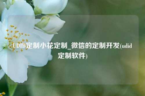 UDID定制小花定制_微信的定制开发(udid定制软件)