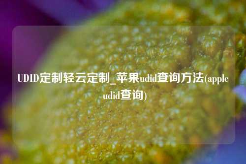 UDID定制轻云定制_苹果udid查询方法(apple udid查询)