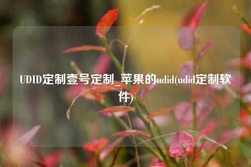 UDID定制壹号定制_苹果的udid(udid定制软件)