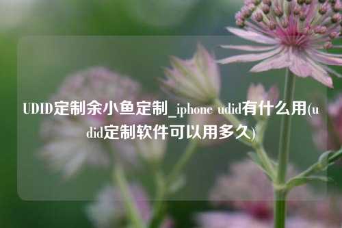 UDID定制余小鱼定制_iphone udid有什么用(udid定制软件可以用多久)