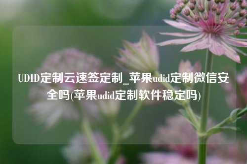 UDID定制云速签定制_苹果udid定制微信安全吗(苹果udid定制软件稳定吗)