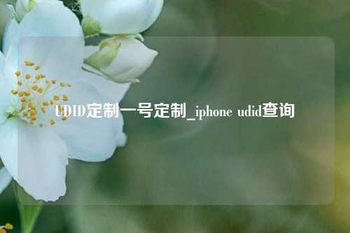 UDID定制一号定制_iphone udid查询