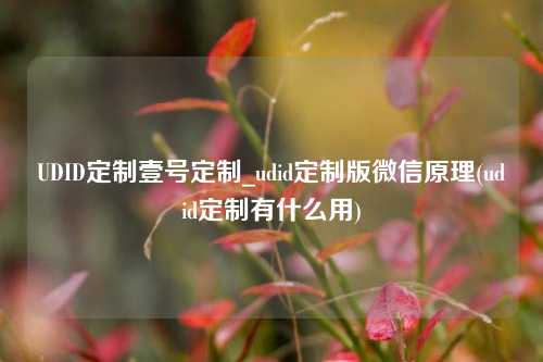 UDID定制壹号定制_udid定制版微信原理(udid定制有什么用)