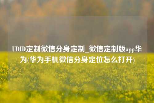 UDID定制微信分身定制_微信定制版app华为(华为手机微信分身定位怎么打开)