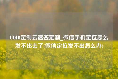 UDID定制云速签定制_微信手机定位怎么发不出去了(微信定位发不出怎么办)