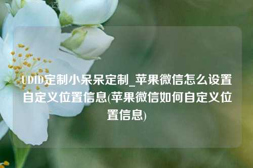 UDID定制小呆呆定制_苹果微信怎么设置自定义位置信息(苹果微信如何自定义位置信息)