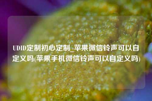 UDID定制初心定制_苹果微信铃声可以自定义吗(苹果手机微信铃声可以自定义吗)