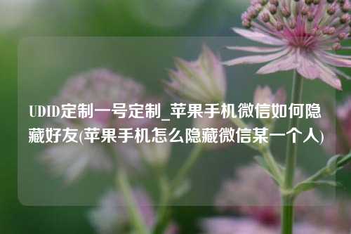 UDID定制一号定制_苹果手机微信如何隐藏好友(苹果手机怎么隐藏微信某一个人)