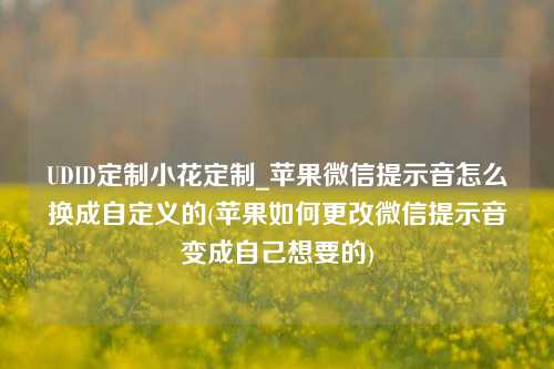 UDID定制小花定制_苹果微信提示音怎么换成自定义的(苹果如何更改微信提示音变成自己想要的)