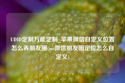 UDID定制万能定制_苹果微信自定义位置怎么弄朋友圈(ios微信朋友圈定位怎么自定义)