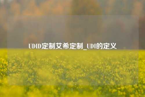 UDID定制艾希定制_UDI的定义