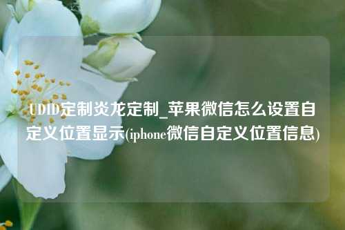 UDID定制炎龙定制_苹果微信怎么设置自定义位置显示(iphone微信自定义位置信息)