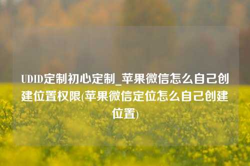 UDID定制初心定制_苹果微信怎么自己创建位置权限(苹果微信定位怎么自己创建位置)