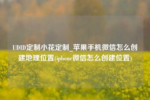 UDID定制小花定制_苹果手机微信怎么创建地理位置(iphone微信怎么创建位置)