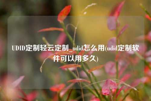 UDID定制轻云定制_udid怎么用(udid定制软件可以用多久)