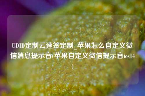 UDID定制云速签定制_苹果怎么自定义微信消息提示音(苹果自定义微信提示音ios14)